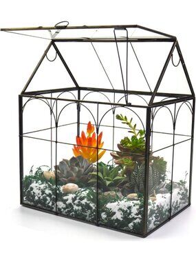 Large Indoor Glass Terrarium for Succulents & Orchids - 8.7x5.9x10.6 Inches